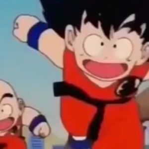 Meet your Posher, Roy